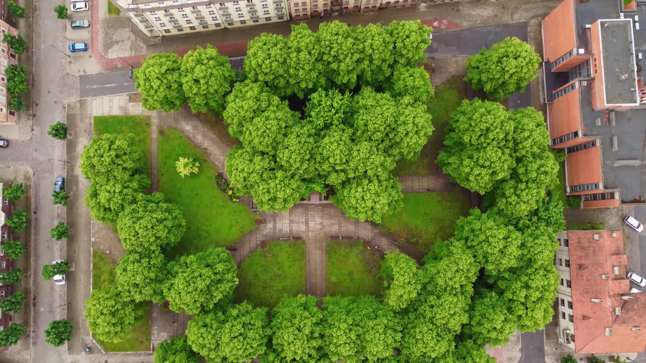 vista aérea de arriba hacia abajo de la plaza verde y los edificios circundantes en klaipeda, lituania