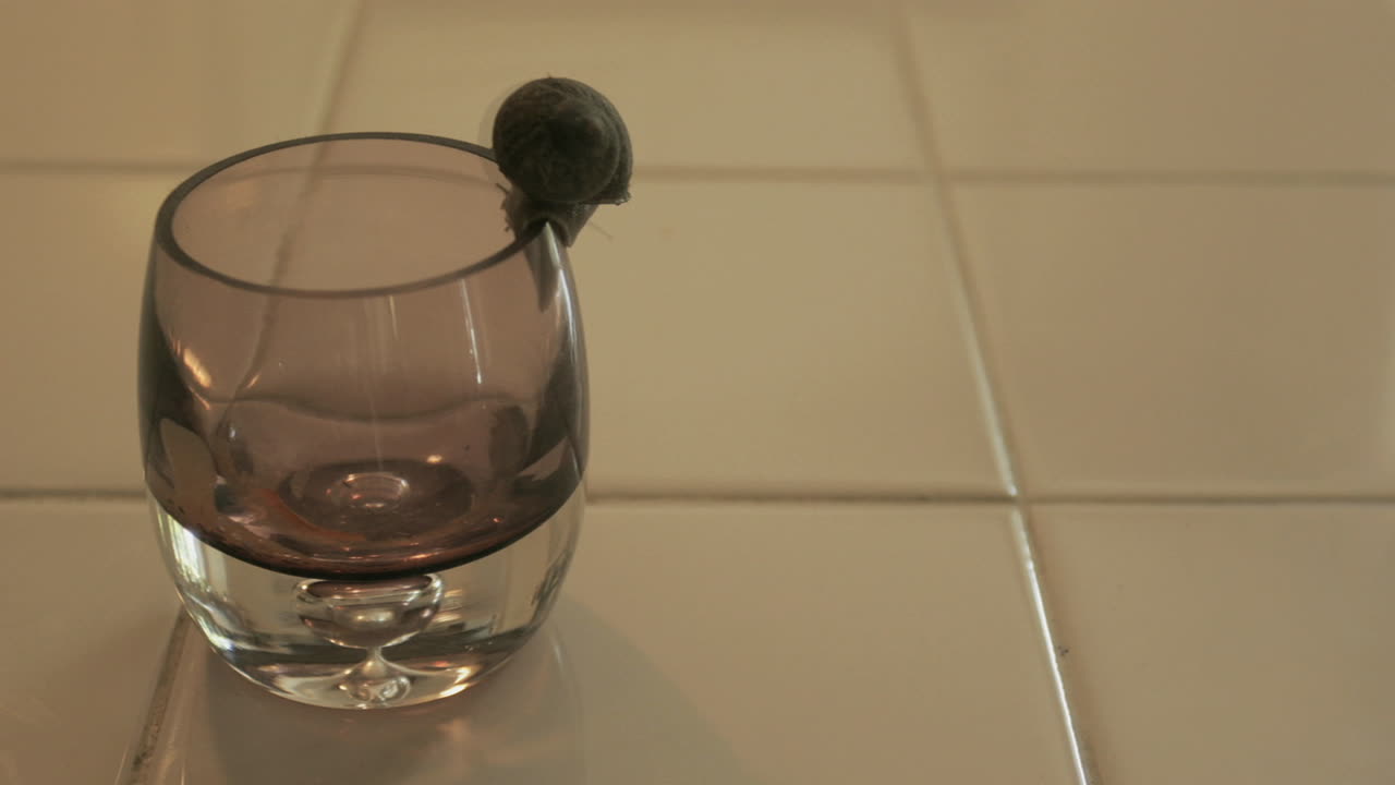 A large snail crawls around the rim of a glass of water on a tiled counter
