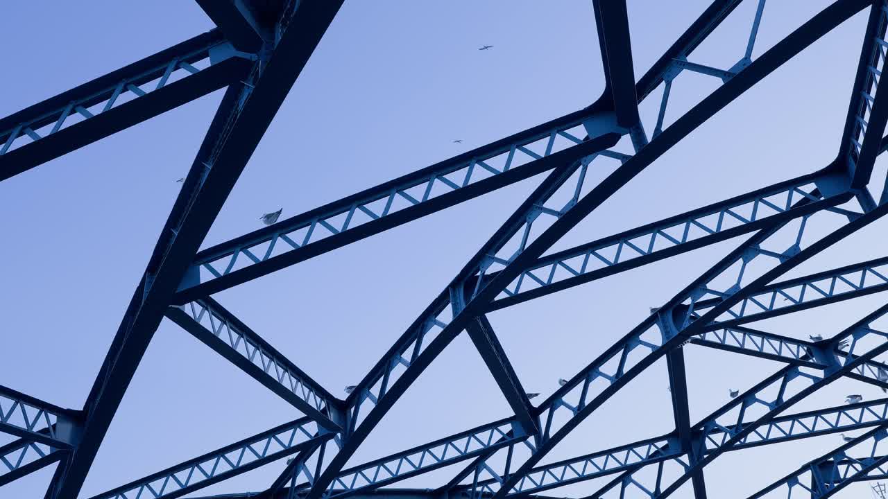 A shot capturing seagulls flying over the distinctive blue arch of Komagata Bridge across the Sumida River against a dusk sky
