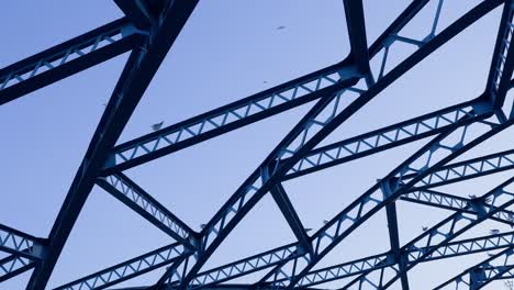 a shot capturing seagulls flying over the distinctive blue arch of komagata bridge across the sumida river against a dusk sky