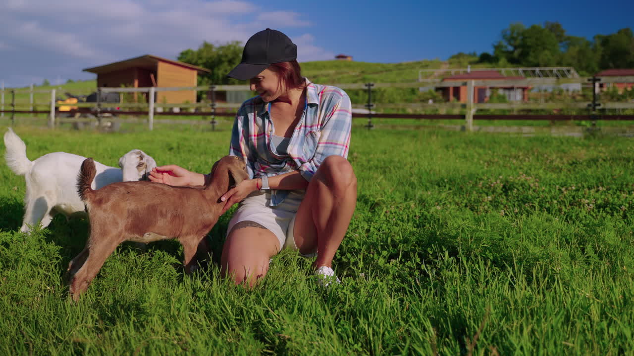 농장 에서 어린 염소 들 과 상호 작용 하는 여자