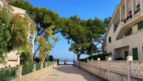 peaceful residential street with beach view