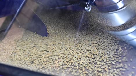 unroasted green coffee beans are being dried in the container, raw coffee beans