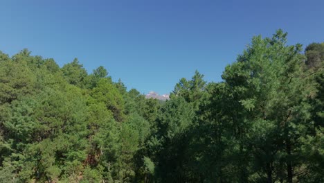 Drone-rises-above-farmland-fields-to-reveal-epic-iztaccihuatl-on-horizon,-blue-sky