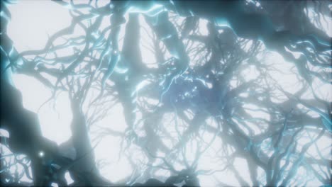 journey through a neuron cell network inside the brain