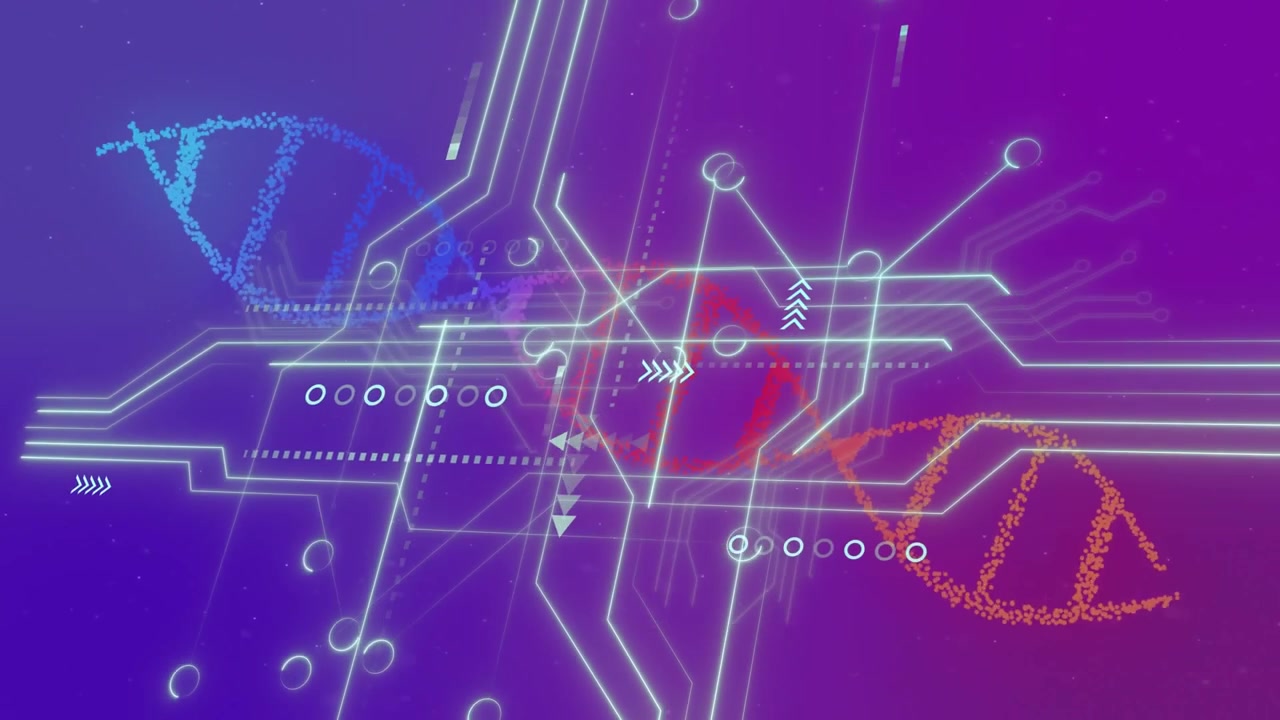 Animation of data processing and shapes over network of connections