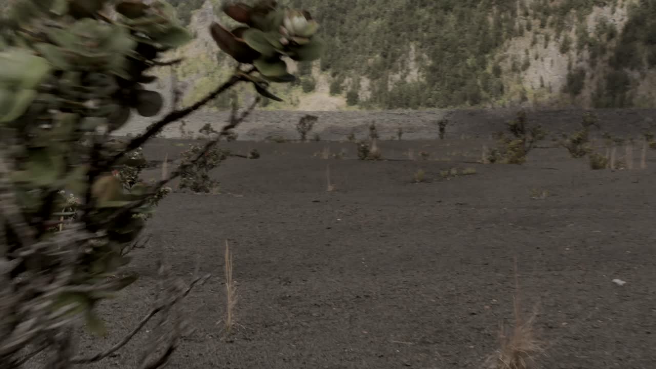 Traversing the desert wasteland found in the lava crater on the Big Island of Hawaii
