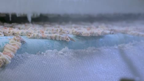 closeup of skewered squid and shellfish exiting flash freezer conveyor belt