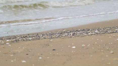 Seashells-on-the-white-sand-beach-in-summer,-calm-waves,-Baltic-sea-coastline,-summer-vacation,-relaxation,-ocean,-travel-concept,-medium-shot