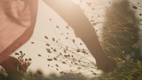 close-up of gardener in pink shirt plucking wildflowers under bright sunlight, holding freshly picked blooms in her left hand, sun rays illuminate flower stems, creating a soft silhouette effect