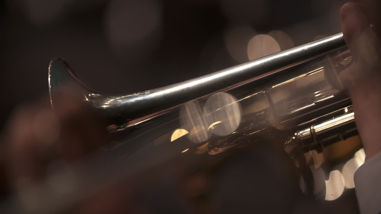 콘서트 1에서 트럼펫을 연주하는 음악가