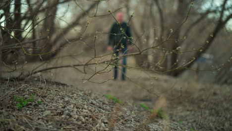 a close-up view of budding tree branches in a forest, with a blurred figure in the background, with a bokeh view of someone coming forward and a blur view of car from behind