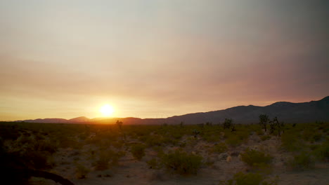 sliding along the mojave desert basin as the sunrise illuminates the empty landscape and joshua trees