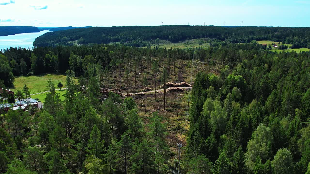 Avskogning i Bouhslan, Sverige – Flygbild framåt
