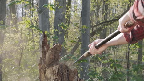 young man swinging his axe at a tree