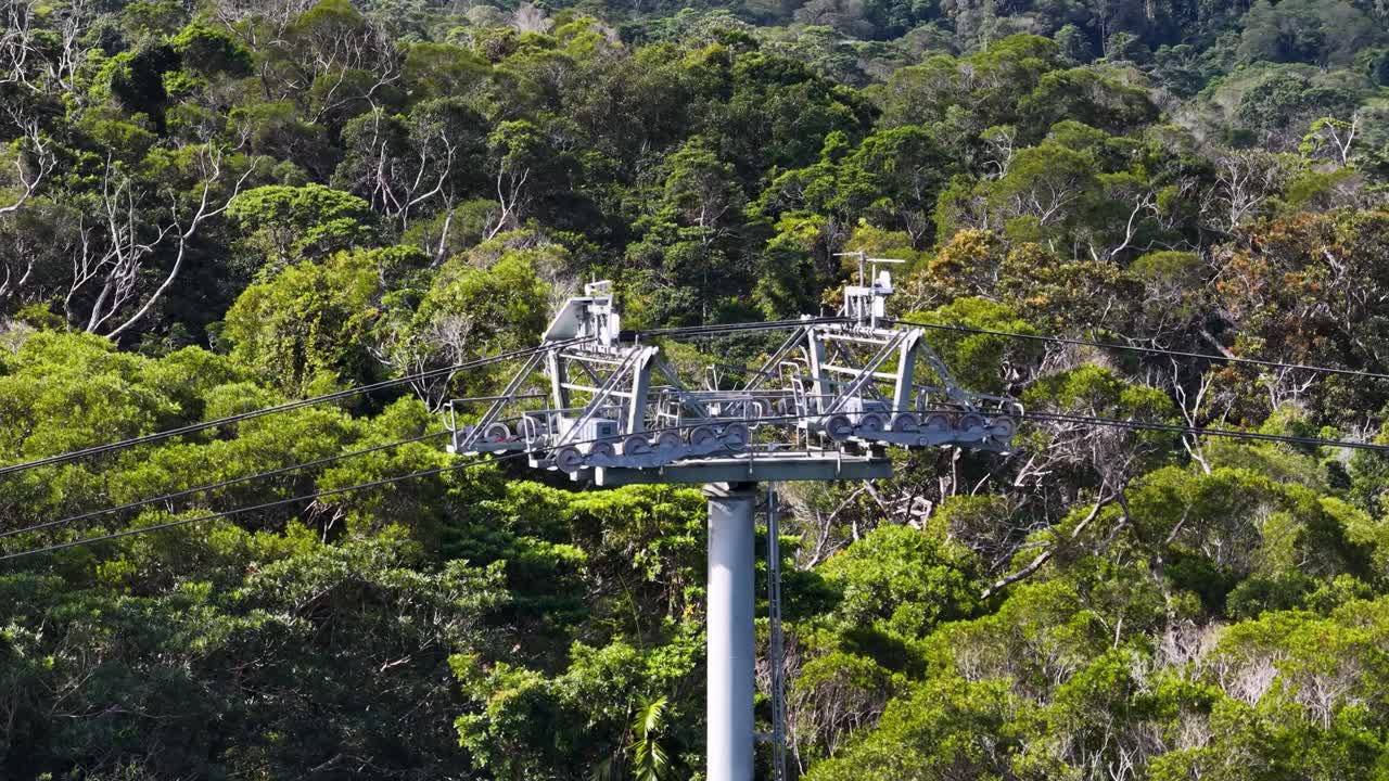 Drone captures a cable car gliding above dense rainforest, showcasing vibrant greenery and serene atmosphere