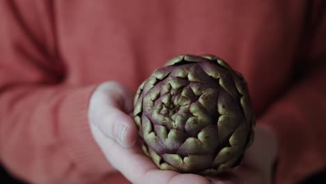 Close-up-shot-of-hand-of-a-man-in-red-pullover-holding-an-artichoke-flower-edible-buds-isolated