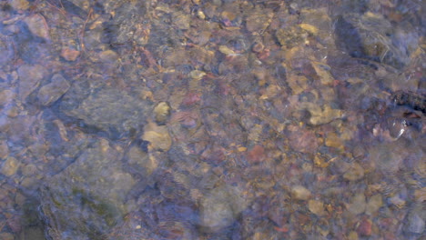 Ondas-Y-Reflejos-En-La-Superficie-De-Un-Arroyo-Poco-Profundo-Que-Fluye-Sobre-Pequeñas-Rocas-Coloridas