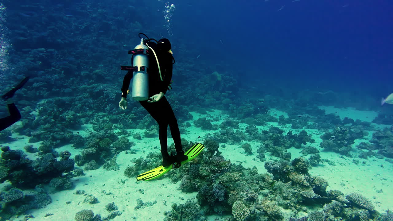 un buzo cerca del fondo marino en las aguas claras del golfo de aqaba en dahab, egipto