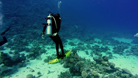 Un-Buzo-Cerca-Del-Fondo-Marino-En-Las-Claras-Aguas-Del-Golfo-De-Aqaba-En-Dahab,-Egipto