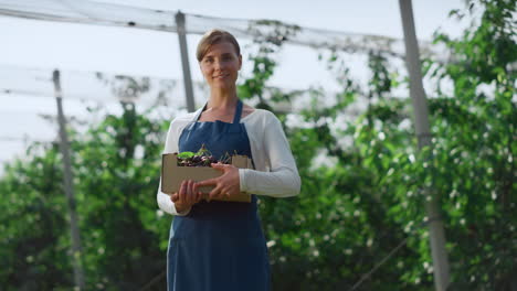 farmer holding berry crate smiling collecting cherry on warm green plantation