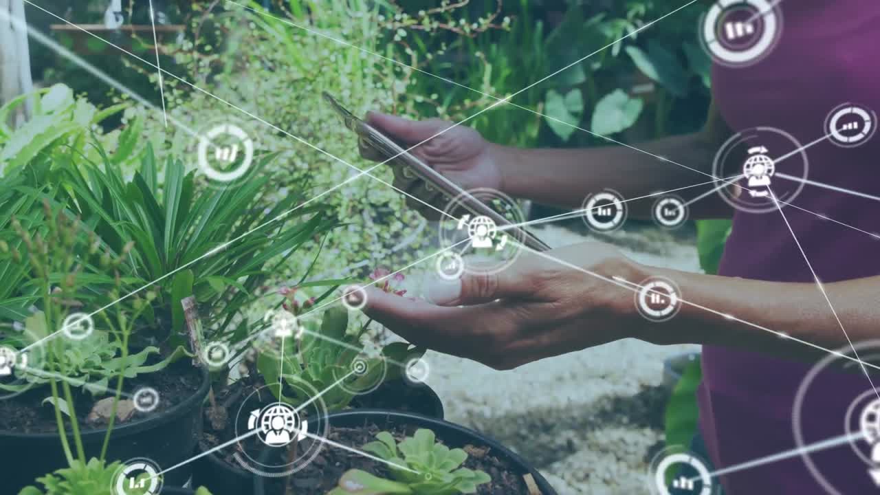 디지털 태블릿이 식물의 잎을 만지는 사람의 클로즈업에 대한 디지털 아이콘 네트워크