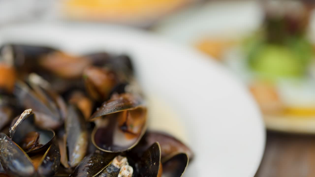 Assorted seafood plates including mussels, smoked fish, and scallops, presented in natural daylight outdoors