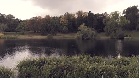 tranquil water lake by the meadow landscape at the forest woluwepark in brussels, belgium