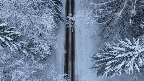 Vista-Aérea-De-La-Carretera-Asfaltada-Con-árboles-Nevados-En-Invierno-Cerca-Del-Pueblo-De-Deby-En-Polonia