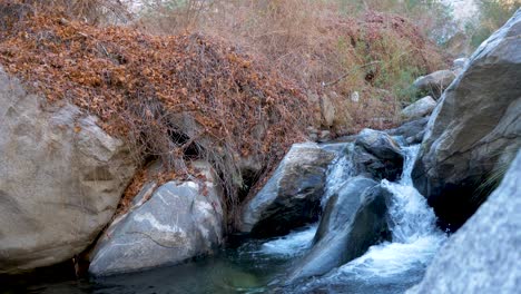 small cascade at tahquitz creek