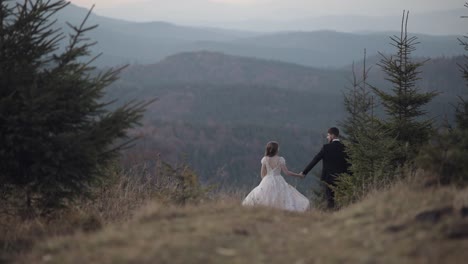 newlyweds. groom with bride walking away on mountain slope. wedding couple