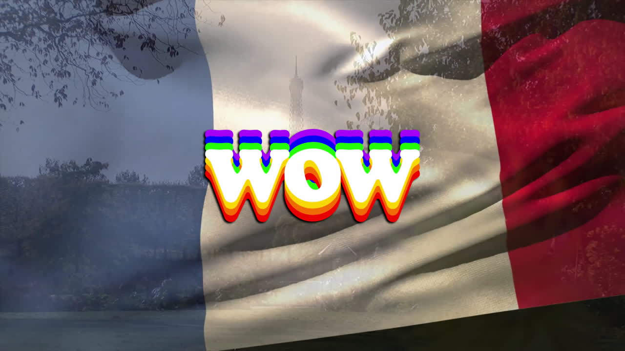 Wow text animation over waving France flag background