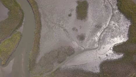 coastal marshland and murrells inlet