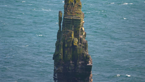 "a lone sea stack rises from the atlantic near the cliffs of moher, with towering cliffs in the background. waves crash below, showcasing the raw power and beauty of ireland’s rugged coastline.