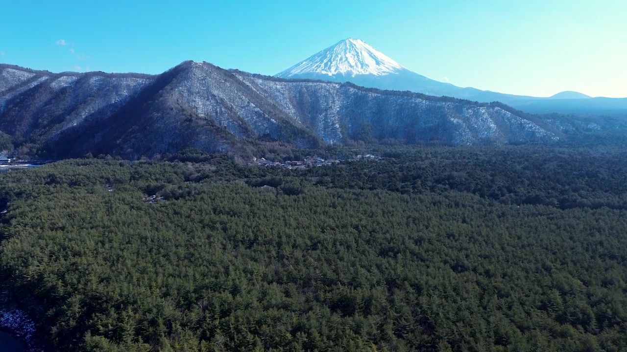 Paisaje aéreo con dron de árboles de bosque en un parque nacional, rodeado por una región montañosa nevada, con la cima del Monte Fuji al fondo, cerca del lago Saiko Kawaguchiko, Japón. Una vista de la naturaleza al aire libre.