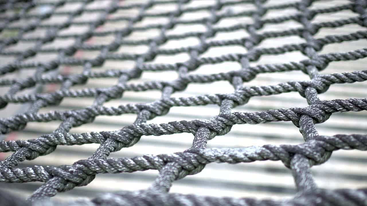 힌 매, 끔하게 배열된 줄