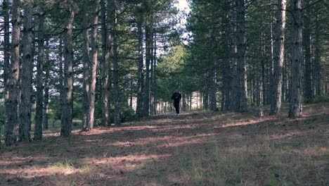 corriendo por el bosque en un pequeño sendero para trotar