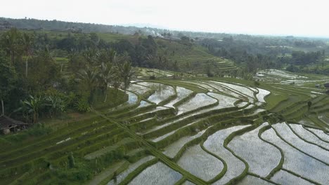 Luftaufnahme-Der-Unesco-weltkulturerbe-Reisfelder-In-Jatiluwih,-Bali,-Indonesien-An-Einem-Bewölkten-Tag