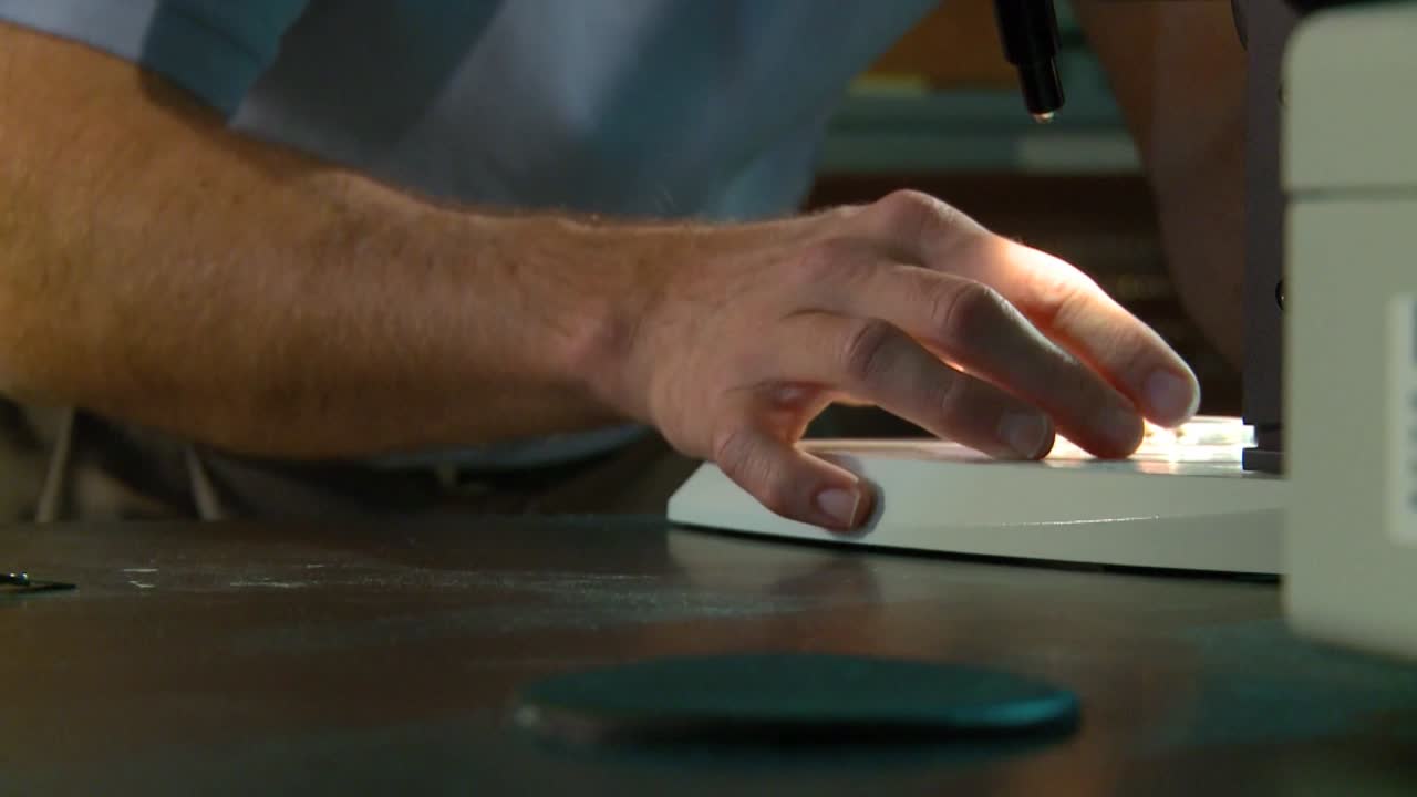 un científico médico en un laboratorio estudia la malaria 4