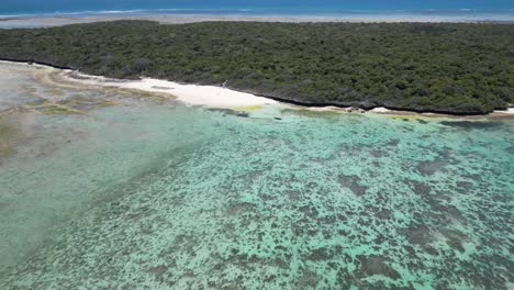 Panorama-De-La-Isla-De-Pungume-En-El-Sur-De-Zanzíbar-Tanzania-áfrica,-Tiro-Aéreo-A-La-Izquierda