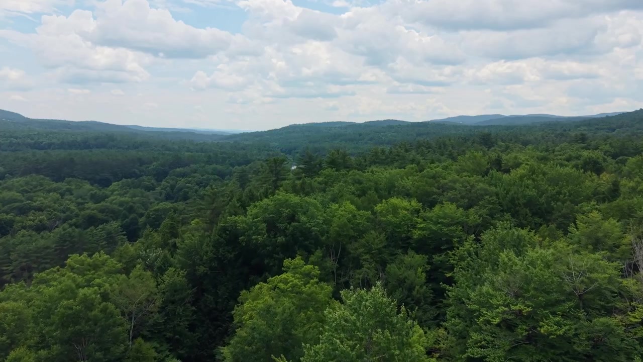 Upward low-altitude drone between dense green forest canopies toward expansive panoramic mountainous environment under summer clouds, Bristol, New Hampshire, USA