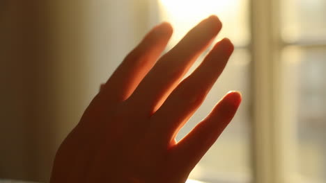 hand in sunlight