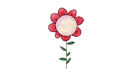 la flor del icono aislada