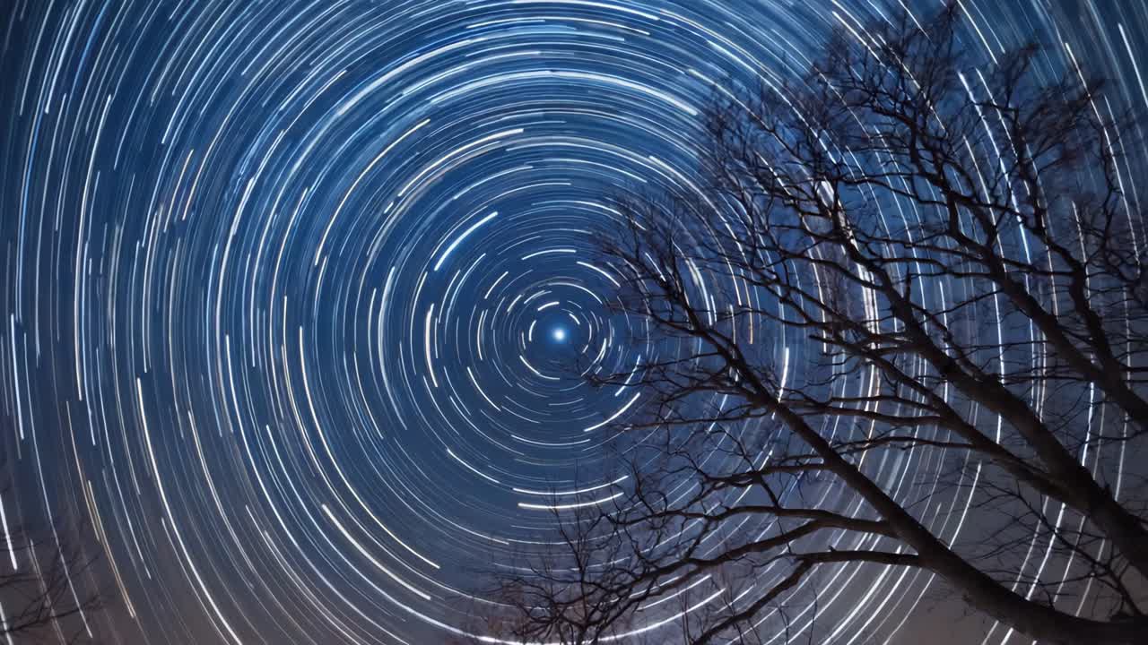 Star Trails with Bare Trees at Night