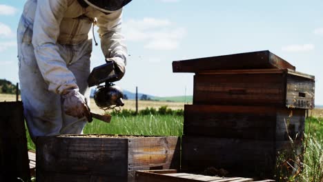 beekeeper examining beehive