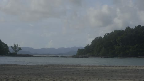 static wide shot of beachfront with trees and mountains