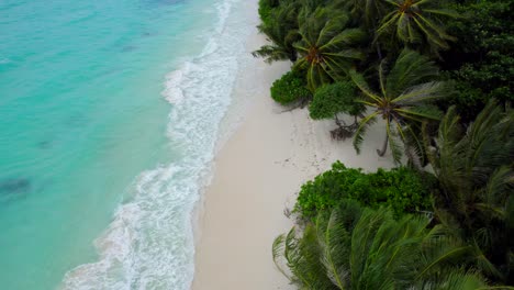 Luftdrohnenansicht-Des-Jungfräulichen-Tropischen-Leeren-Paradiesstrandes-Auf-Den-Malediven