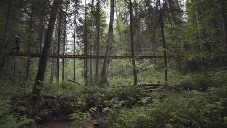 wooden suspension bridge in a forest