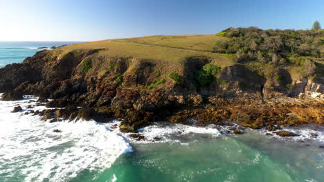 beautiful drone shot starting on surfers then flying over kangaroos on cliff at coffs harbour australia