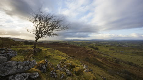 time lapse of rural and remote landscape of grass, trees and rocks during the day in hills of carrowkeel in county sligo, ireland